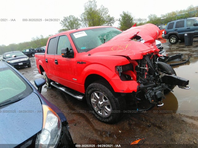 FORD F-150 2014 1ftfw1et9efd07401