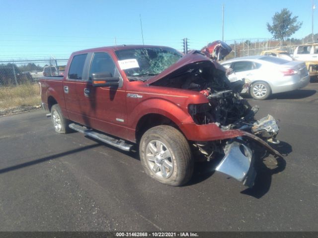 FORD F-150 2014 1ftfw1et9ekd66214