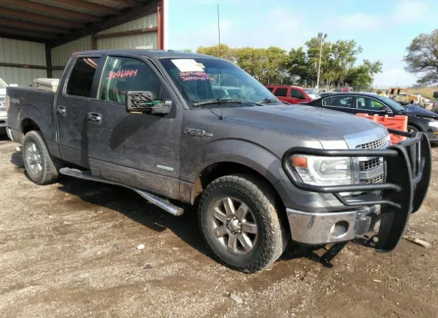 FORD F-150 2014 1ftfw1et9eke38738