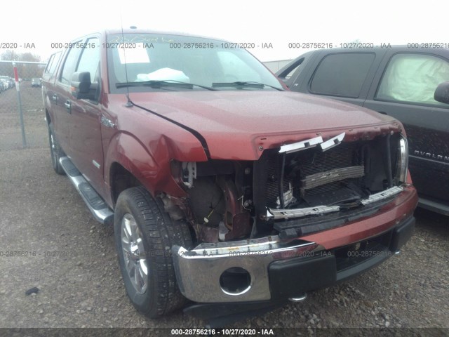 FORD F-150 2014 1ftfw1et9eke62571