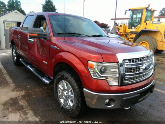 FORD F-150 2014 1ftfw1et9ekf01014