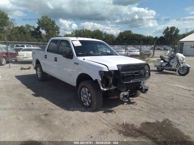 FORD F-150 2014 1ftfw1et9ekf30531