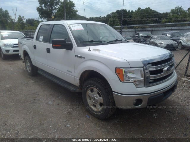 FORD F-150 2014 1ftfw1et9ekg06362