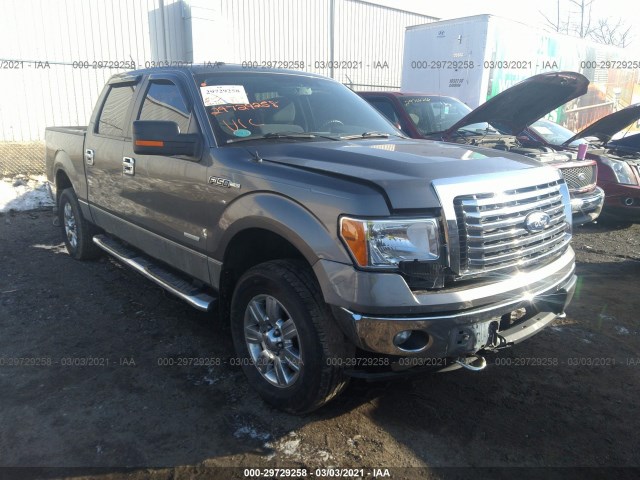 FORD F-150 2011 1ftfw1etxbfb41353