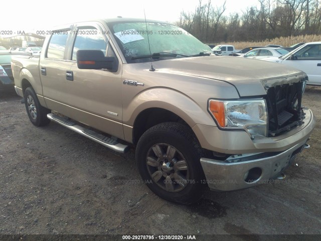 FORD F-150 2011 1ftfw1etxbfc25804