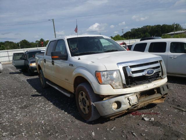 FORD F150 SUPER 2011 1ftfw1etxbfc66594