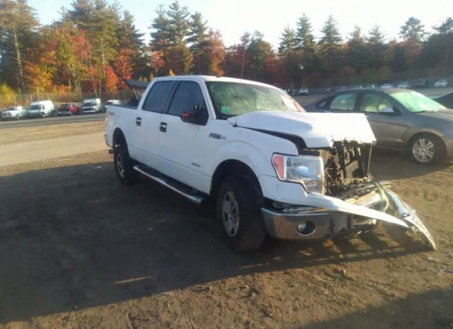 FORD F-150 2011 1ftfw1etxbfc99126