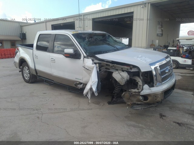 FORD F-150 2011 1ftfw1etxbfd09895