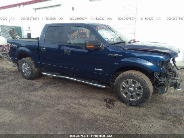 FORD F-150 2011 1ftfw1etxbfd11873