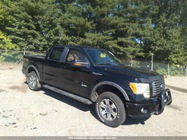 FORD F-150 2011 1ftfw1etxbfd37955