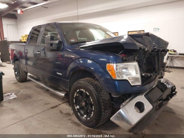 FORD F-150 2011 1ftfw1etxbkd62359