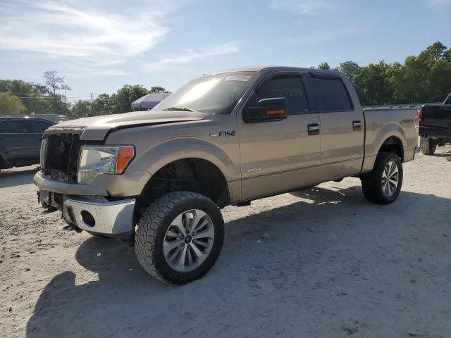 FORD F-150 2011 1ftfw1etxbkd99542