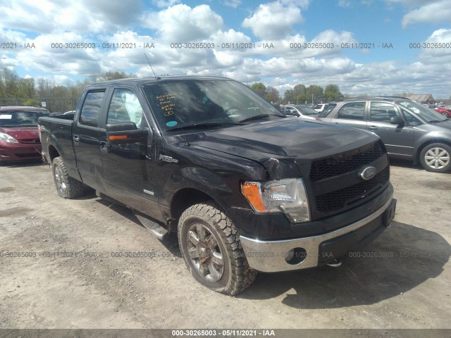 FORD F-150 2013 1ftfw1etxdfa07509