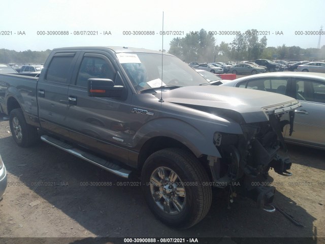 FORD F-150 2013 1ftfw1etxdfb36219