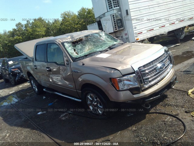 FORD F-150 2013 1ftfw1etxdfb50301