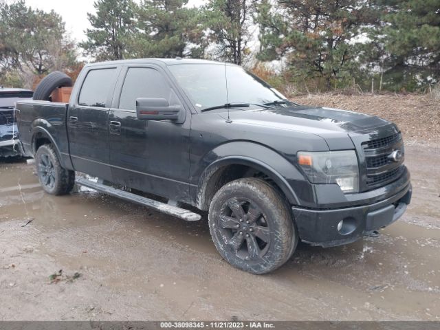 FORD F-150 2013 1ftfw1etxdfb65123