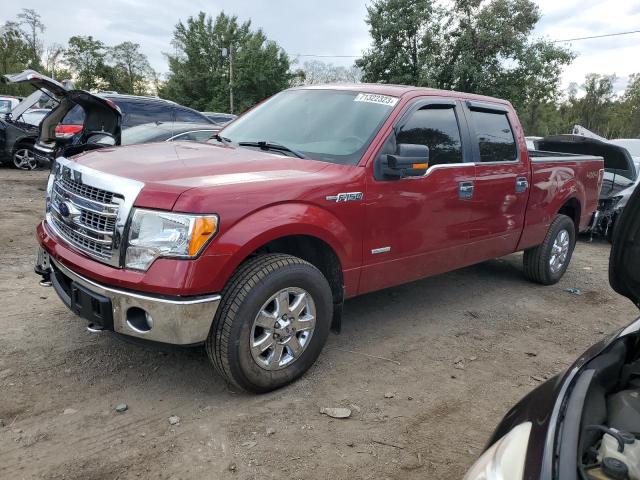 FORD F-150 2013 1ftfw1etxdfc10416