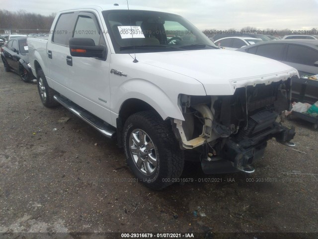 FORD F-150 2013 1ftfw1etxdfd22858