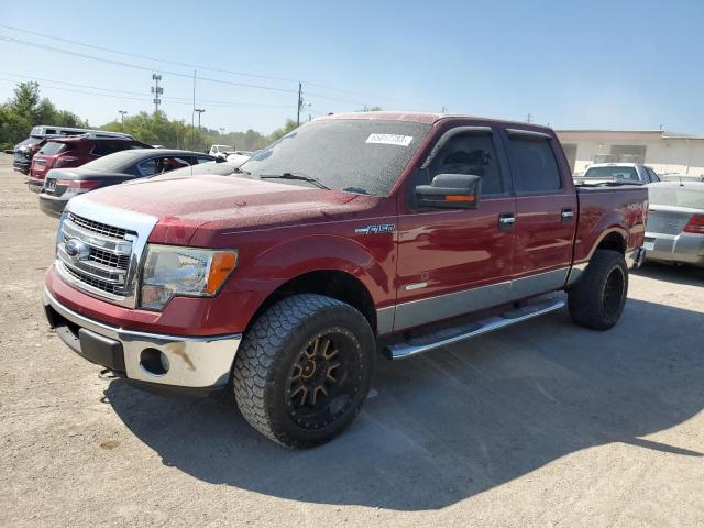 FORD F-150 2013 1ftfw1etxdfd24965