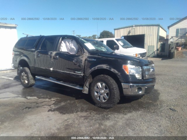 FORD F-150 2013 1ftfw1etxdfd51745