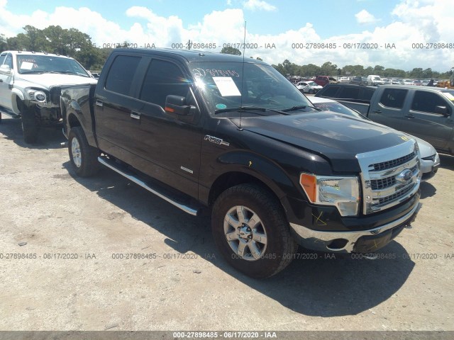 FORD F-150 2013 1ftfw1etxdfd94742