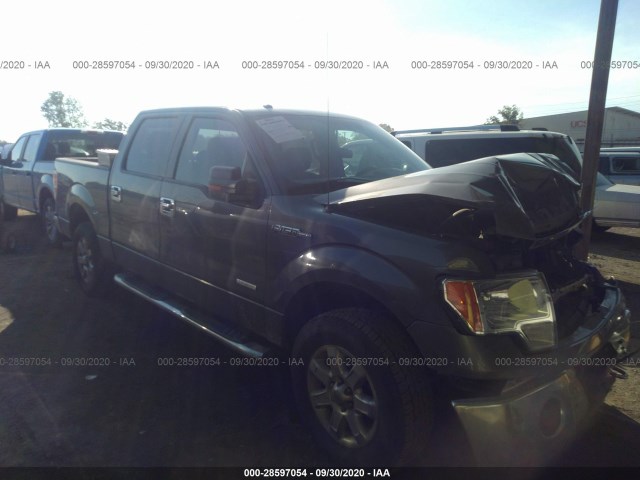 FORD F-150 2013 1ftfw1etxdkd07624