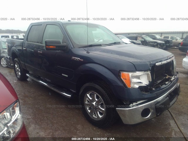 FORD F-150 2013 1ftfw1etxdkd59920