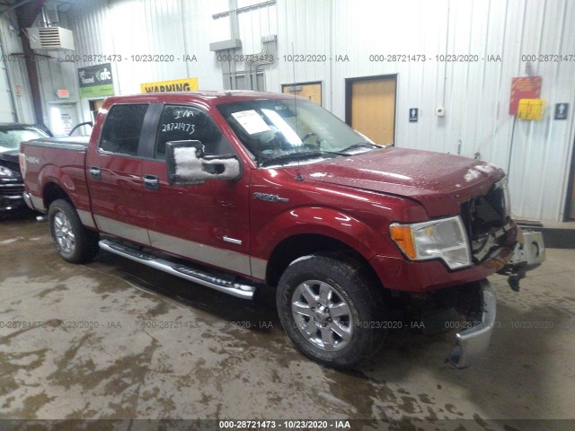 FORD F-150 2013 1ftfw1etxdkd65202