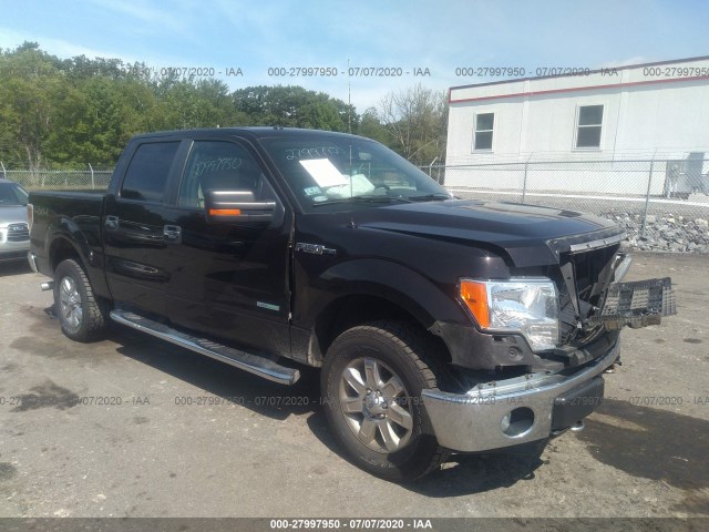 FORD F-150 2013 1ftfw1etxdkd99253