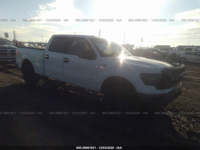 FORD F-150 2013 1ftfw1etxdke53666