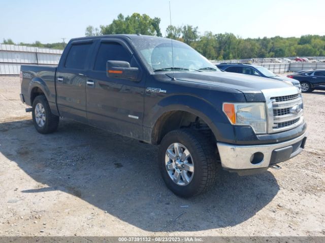 FORD F-150 2013 1ftfw1etxdkg41037