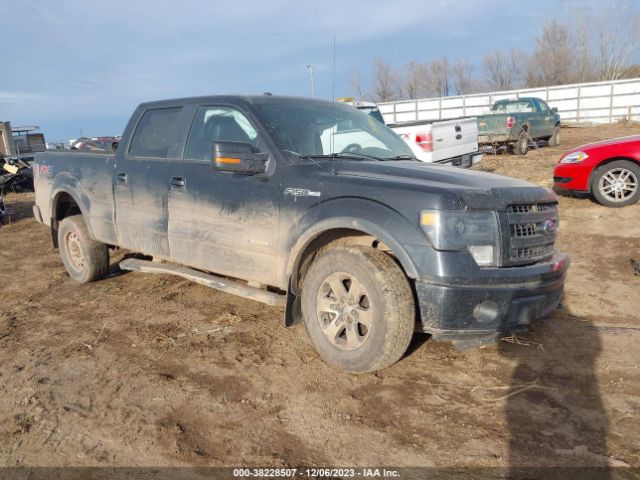 FORD F-150 2013 1ftfw1etxdkg50644