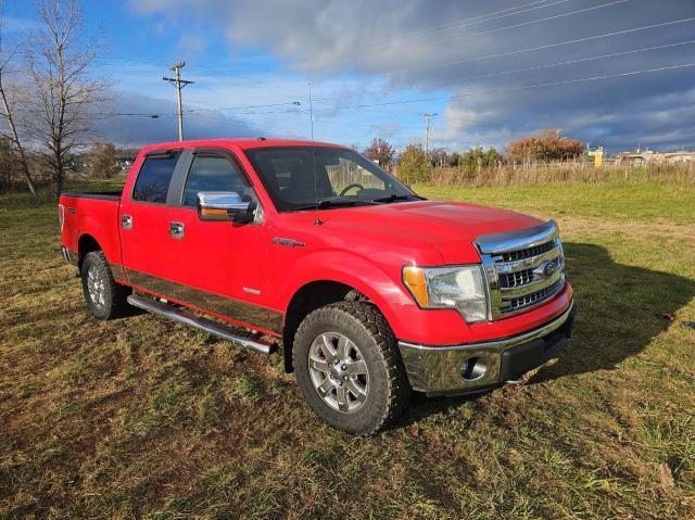 FORD F150 SUPER 2014 1ftfw1etxefa01405