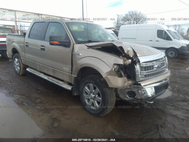 FORD F-150 2014 1ftfw1etxefa60664