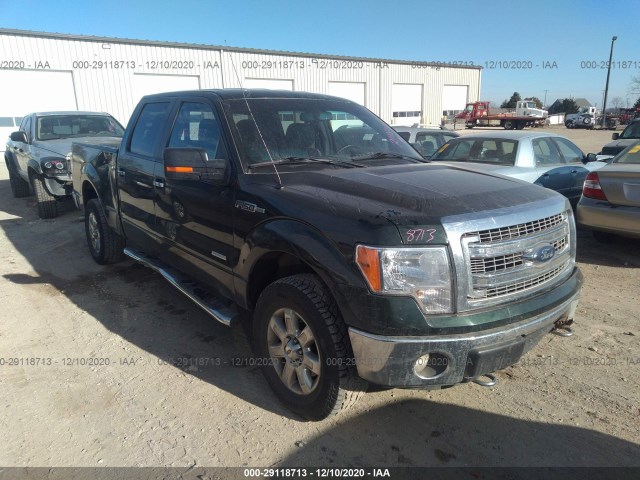 FORD F-150 2014 1ftfw1etxefb78021