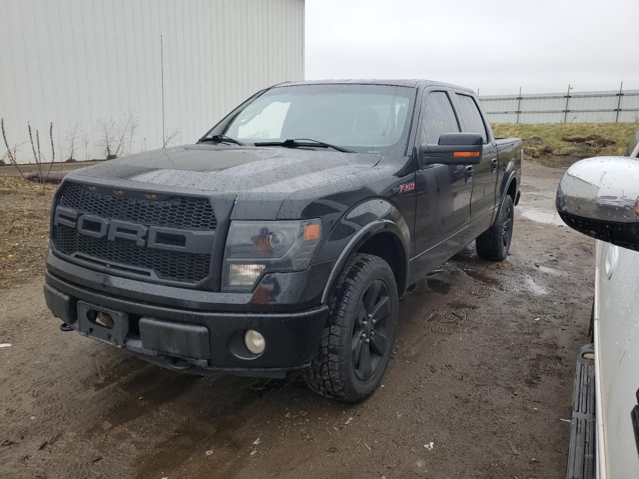 FORD F-150 2014 1ftfw1etxefc37908