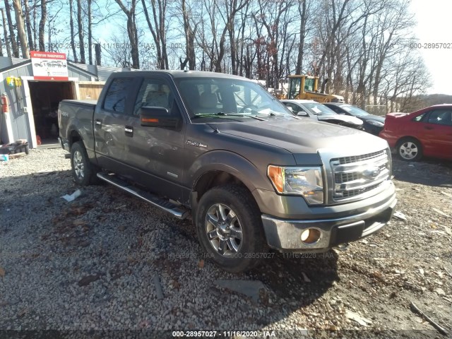 FORD F-150 2014 1ftfw1etxefc41229