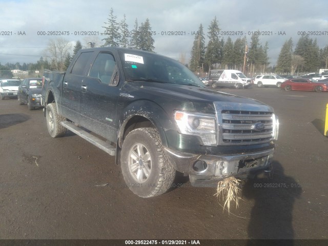 FORD F-150 2014 1ftfw1etxefd00117