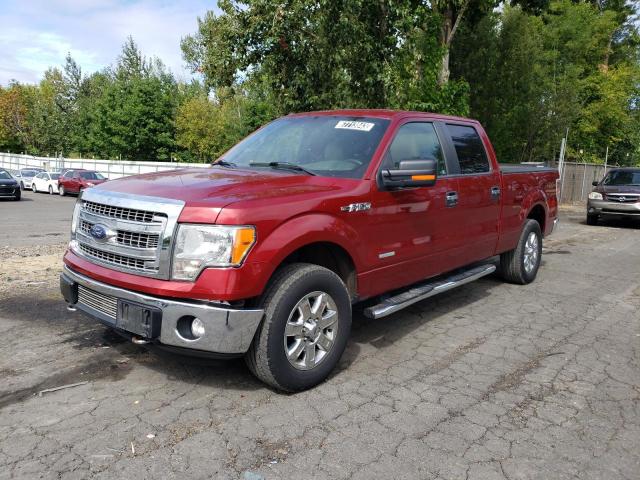 FORD F-150 2014 1ftfw1etxekd07284