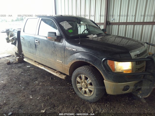 FORD F-150 2014 1ftfw1etxekd30984