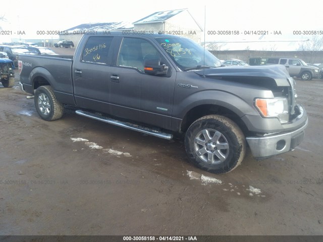 FORD F-150 2014 1ftfw1etxekf30554