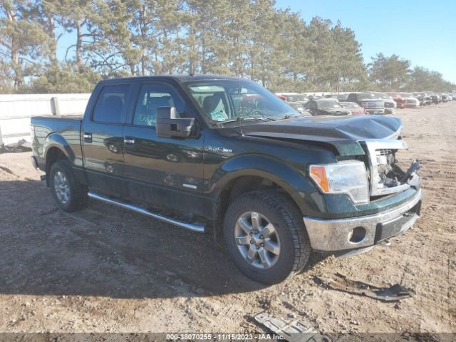 FORD F-150 2014 1ftfw1etxekg58096