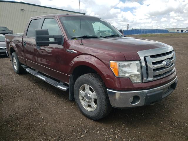 FORD F150 SUPER 2010 1ftfw1ev0afa24266