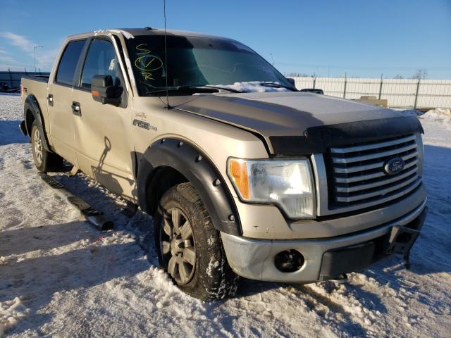 FORD F150 SUPER 2010 1ftfw1ev0afa34263