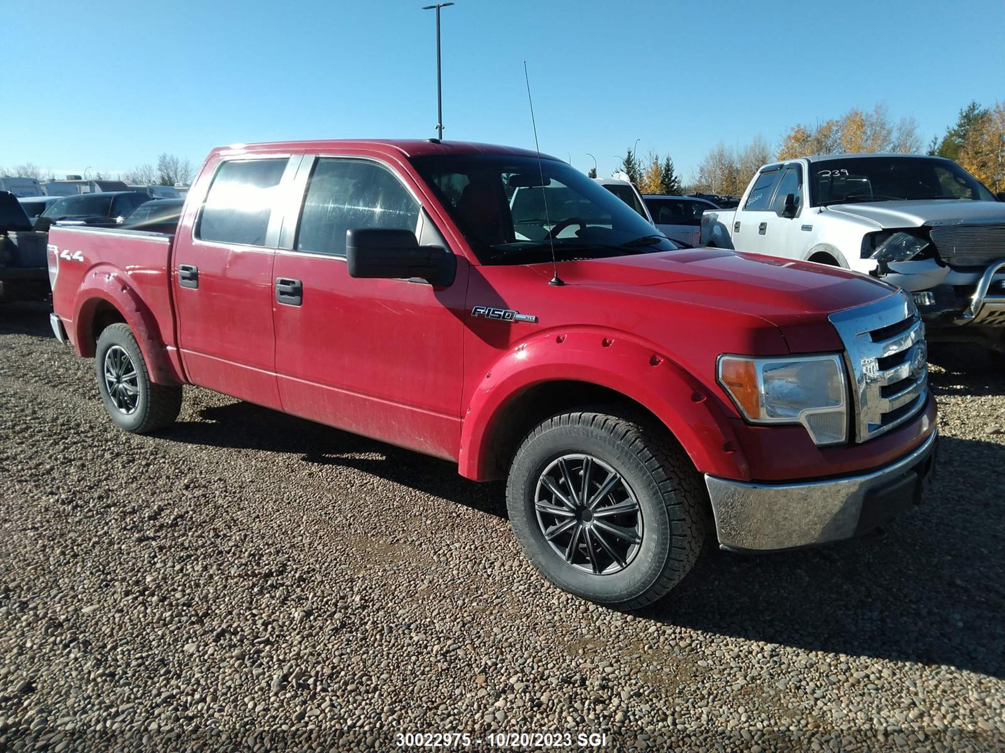 FORD F-150 2010 1ftfw1ev0afa66310