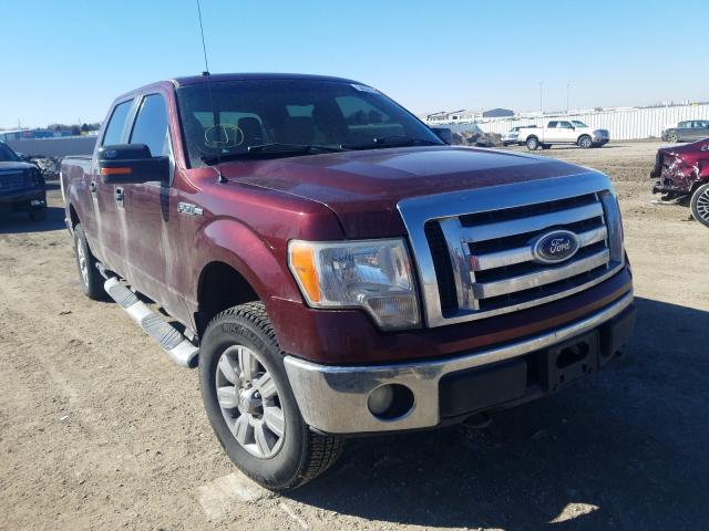 FORD F-150 2010 1ftfw1ev0afa81616