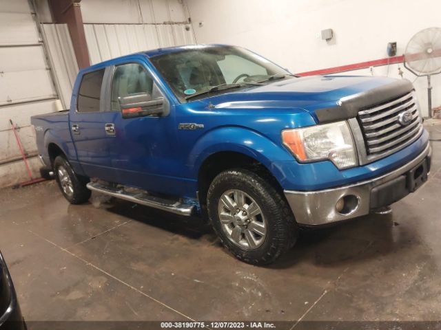 FORD F-150 2010 1ftfw1ev0afc04184