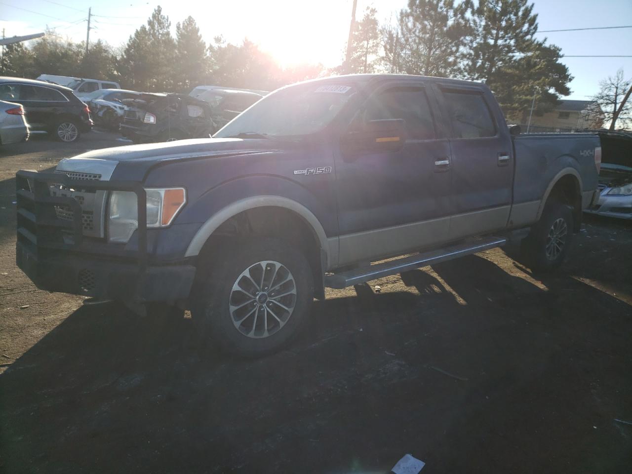 FORD F-150 2010 1ftfw1ev0afc62456