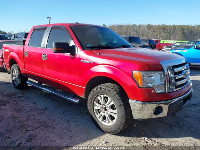 FORD F-150 2010 1ftfw1ev0afc81380