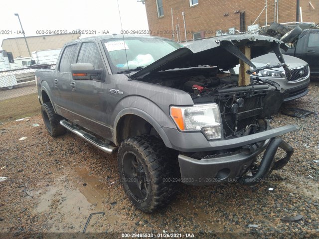 FORD F-150 2010 1ftfw1ev0afc81508